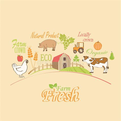 Organic And Farm Vector Concept Stock Vector Illustration Of Emblem