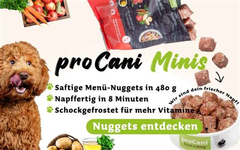 Barf Onlineshop F R Hunde Frisch Und Gesund Procani