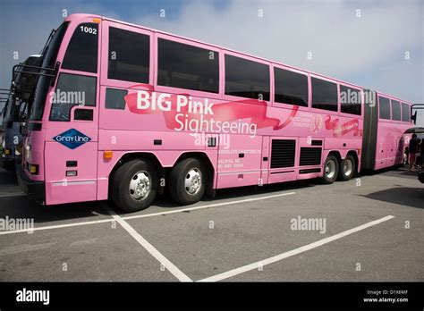 Pink Charter Bus