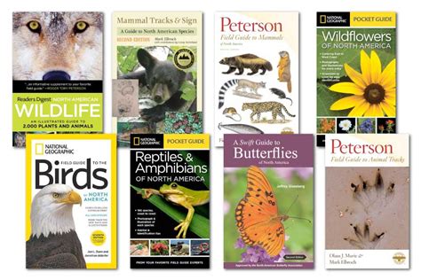 Best North American Wildlife Field Guides: List Of Recommended Books