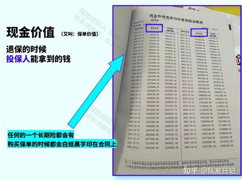 什么是增额终身寿？4000字超详讲解，让你一文读懂 知乎