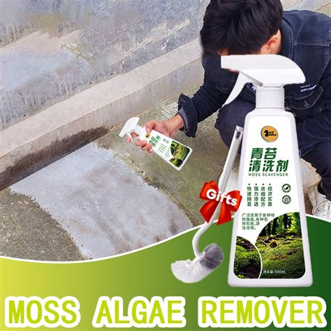 Moss Remover For Cement Floor 500 Ml From Japan Shopee Philippines