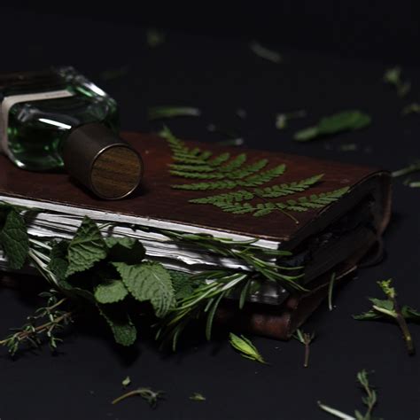 Shop Orto Parisi Viride Parfum in Australia