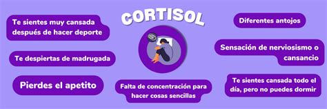 Qué Es El Cortisol Y Cómo Reducirlo Psicología Easydona 🧠