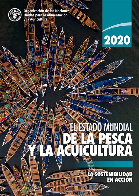 El Estado Mundial De La Pesca Y La Acuicultura La Sostenibilidad