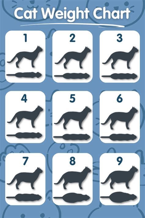 Your Cats Health Tracker Navigating The Cat Weight Chart