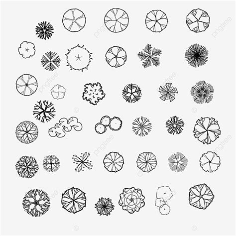 Sketch Line Plan Tree Tree Drawing Plan Drawing Plan Sketch Png