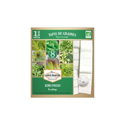 Tapis De Graines De Jeunes Pousses Bio Nature D Couvertes