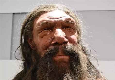 Who Was Altamura Man How One Neanderthals Misfortune Became A