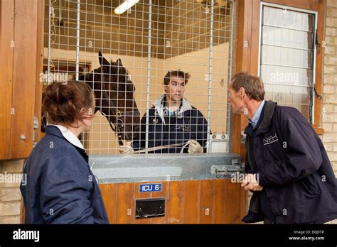 Veterinarios Discutir Un Caballo Enfermo Newmarket Equine Hospital De