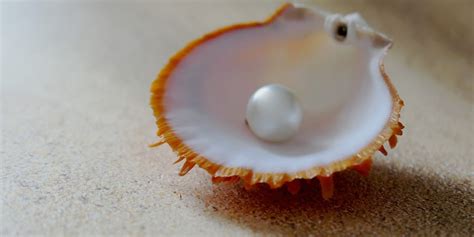 World S Oldest Pearl Found In Abu Dhabi Inquirer Lifestyle