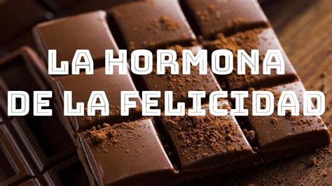 La Hormona De La Felicidad En El Chocolate Youtube