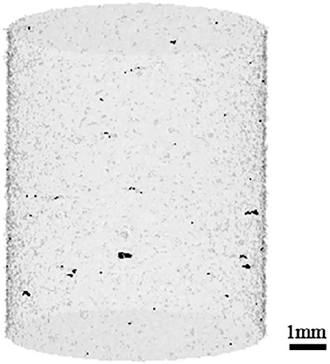 D Visualization Of Porosity Black Imaged By X Ray Ct Scans Of The