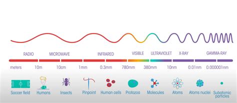 Electromagnetic Waves Study Guide Diagram | Quizlet