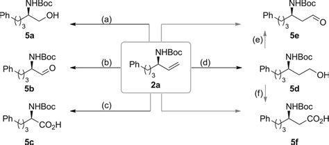 Synthetic Transformations Of Chiral Allylic Amines A O3 Ch2cl2 −78 Download Scientific