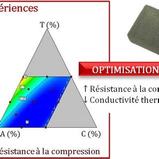 Repr Sentation Graphique De L Effet Des Quantit S De Tanin Alcool