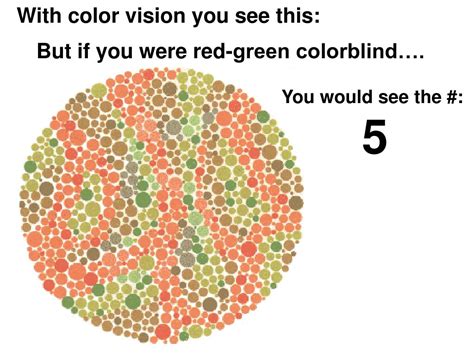 Ppt Genetic Disorders Autosomal Sex Linked Traits Powerpoint Presentation Id