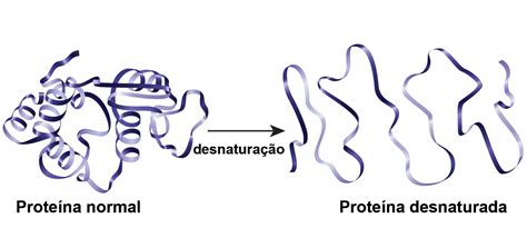 O Que É Desnaturaçao Proteica - O Que é Desnaturação Proteica - RETOEDU