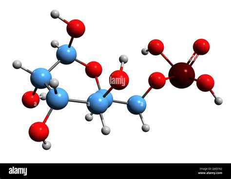 Lisosomas Molecula Fotograf As E Im Genes De Alta Resoluci N Alamy