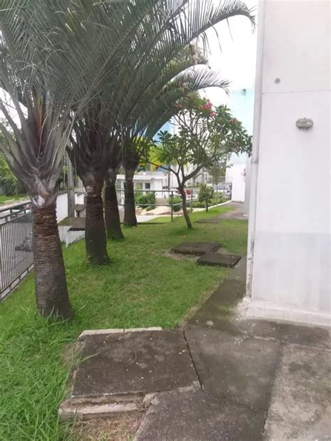 Condom Nio Edif Cio Conjunto Habitacional Raposo Tavares Rua