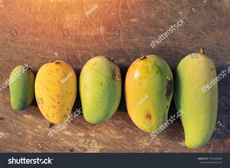 Mango Varieties Types Of Mangoes National Mango Board, 52% OFF