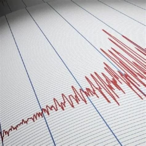 Fuerte Sismo En Chile Se Sintió En Mendoza San Juan Y Córdoba Filo News