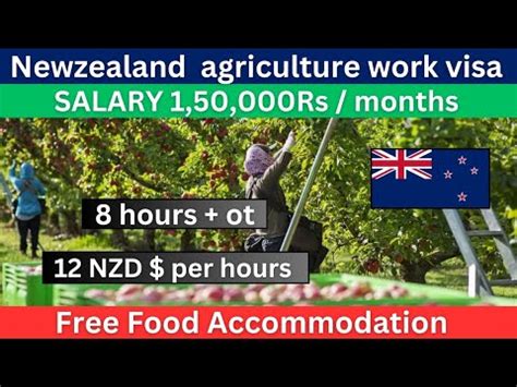 New Zealand Work Permit Visa 2024 New Zealand Agriculture Work Visa