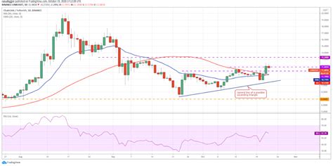 Price Analysis Btc Eth Xrp Bch Bnb Link Dot Ltc Ada Bsv