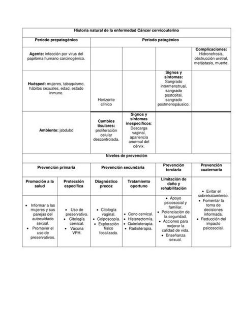 Historia Natural De La Enfermedad C Ncer Cervicouterino Iv N Ayala