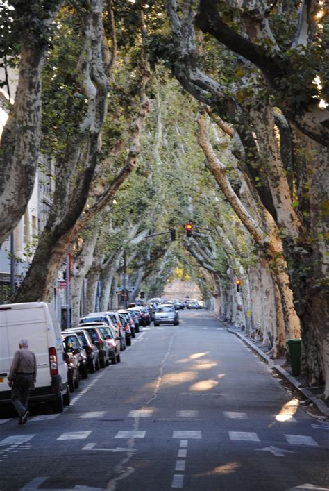 17 Best images about Avignon France on Pinterest | Frances o'connor ...