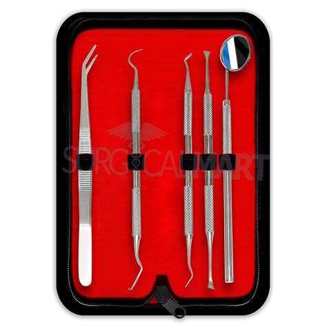 5 Pcs Professional Dental Oral Hygiene Kit | Surgical Mart