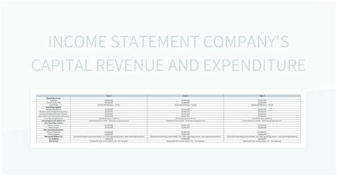 Income Statement Companys Capital Revenue And Expenditure Excel