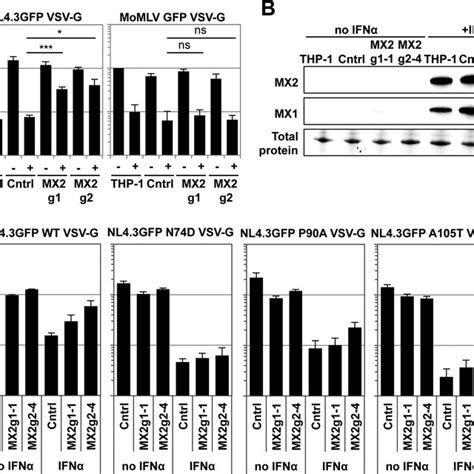 Hiv Ca Mutants Are Sensitized To Mx Independent Ifn Induced Blocks