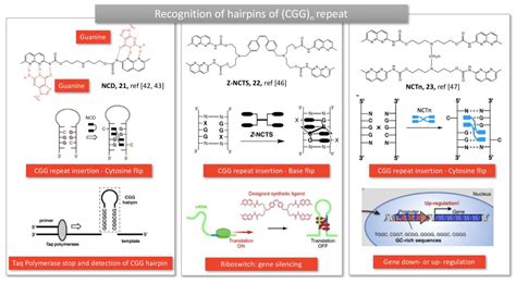 Molecules Free Full Text Pharmaceutical Applications Of Clip