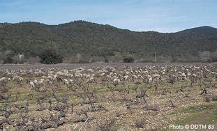 Charte agricole du Var et mallette du foncier agricole Préservation