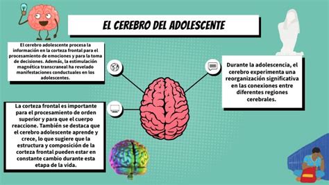 El Cerebro Adolescente