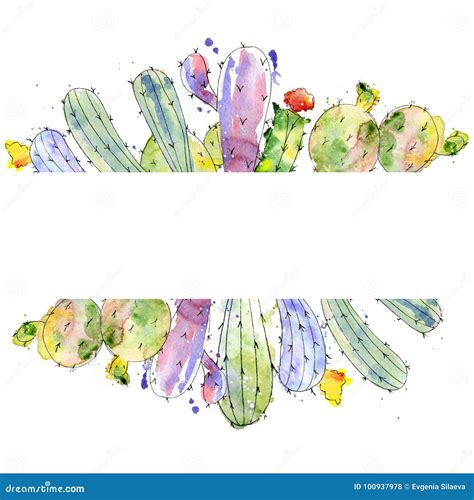 Tropical Cactus Arrangements, Borders, Frames Watercolor Cacti Print ...