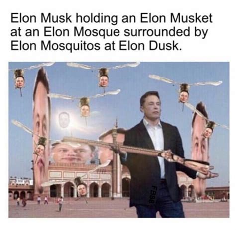 Elon Musk - Meme Guy