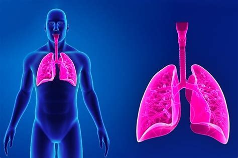 Pulmonary Emphysema Symptoms Diagnosis And Treatment