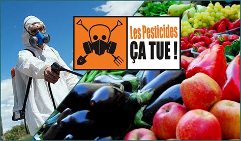 Pesticides Des fruits et des légumes dangereusement contaminés Le Vert