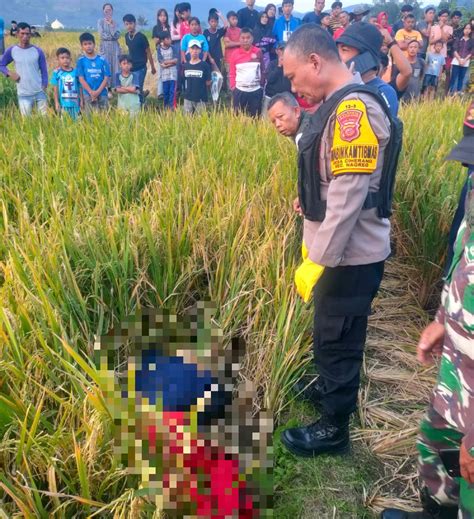 Geger Mayat Wanita Paruh Baya Ditemukan Tergeletak Di Pematang Sawah