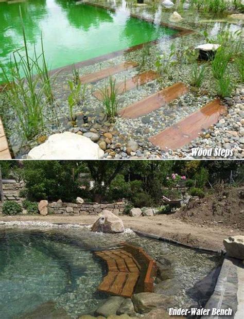 Natural Swimming Pool Ideas How To Tips And Pictures