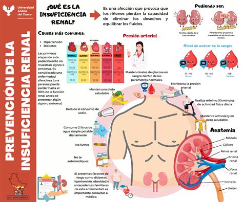 Prevenci N De La Insuficiencia Renal Pdf