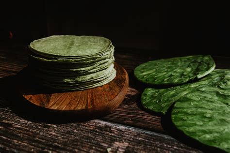 Cómo se hacen las tortillas de nopal Receta casera y sencilla para