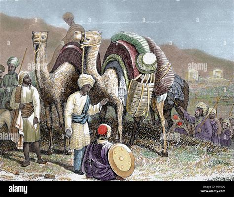 Silk Road Caravan Of Camels Resting Antioch Nineteenth Century