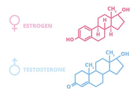 Hormonas Sexuales Laboratorio Símbolo Hormona Estrógeno Testosterona