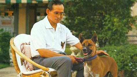 This story about Thailand King Bhumibol's love for animals is endearing!