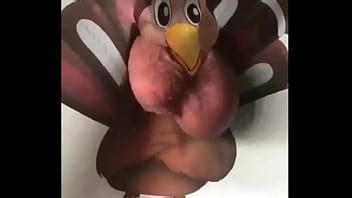 Pavo XVIDEOS