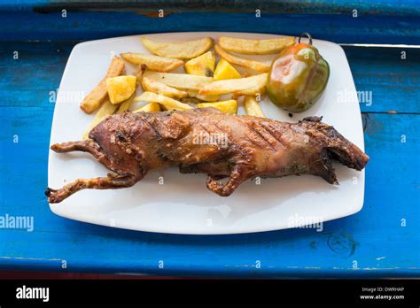 Ecuadorian Food Guinea Pig