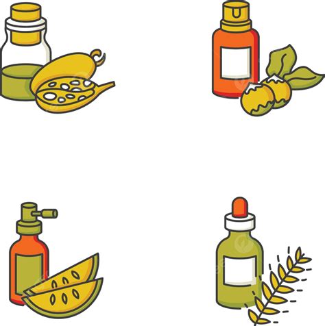 Organic Hair Oils With Nut And Fruit Extracts Vector Pack Lineart